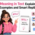 WYLL Meaning in Text Explained With Examples and Smart Replies