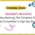 Highkey Meaning_ The Complete Guide Truly Completely to High Key Slang