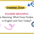 Pookie Meaning_ What Does Pookie Mean in English and Text Today_