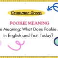 Pookie Meaning_ What Does Pookie Mean in English and Text Today_